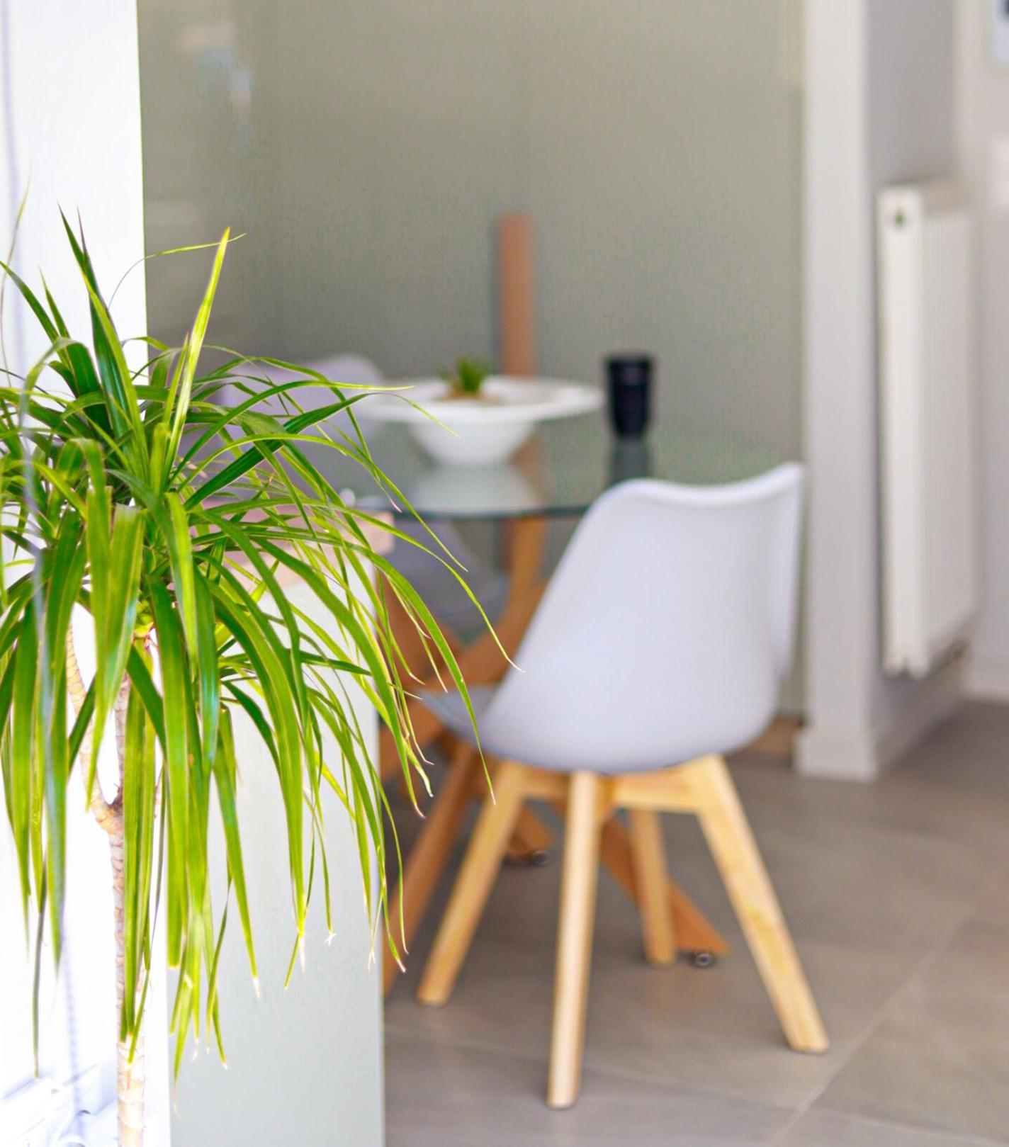 Cutie Studio Apartment In Koukaki 아테네 외부 사진
